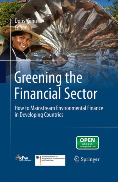 Greening the Financial Sector : How to Mainstream Environmental Finance in Developing Countries, PDF eBook