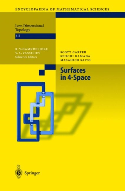 Surfaces in 4-Space, Paperback / softback Book