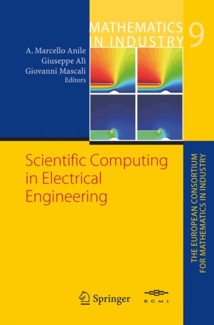 Scientific Computing in Electrical Engineering, Paperback / softback Book