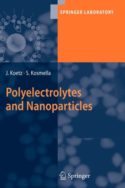Polyelectrolytes and Nanoparticles, Paperback / softback Book