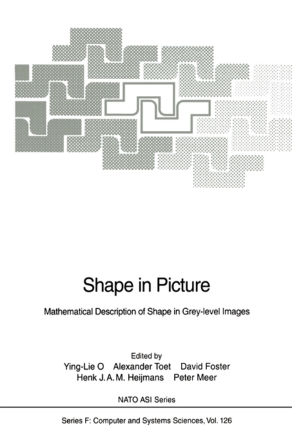 Shape in Picture : Mathematical Description of Shape in Grey-level Images, Paperback / softback Book