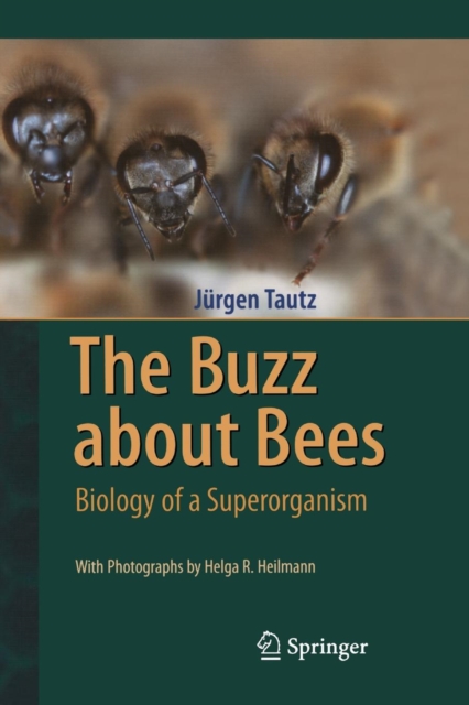The Buzz about Bees : Biology of a Superorganism, Paperback / softback Book