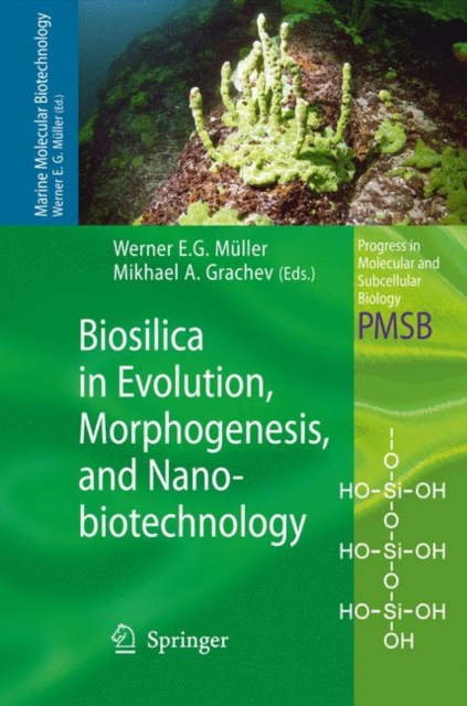Biosilica in Evolution, Morphogenesis, and Nanobiotechnology : Case Study Lake Baikal, Paperback / softback Book