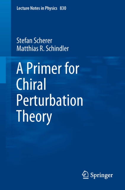 A Primer for Chiral Perturbation Theory, PDF eBook
