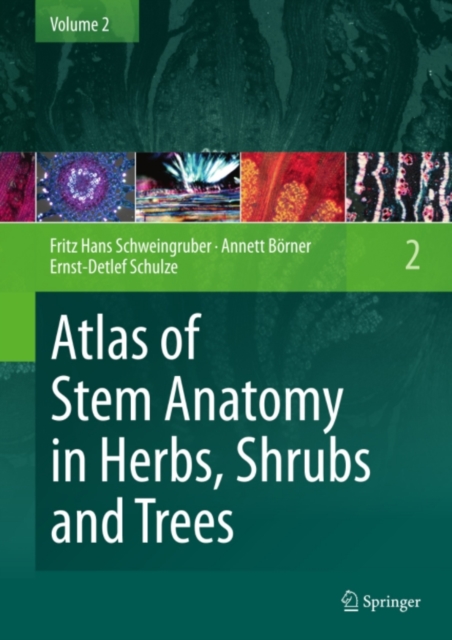 Atlas of Stem Anatomy in Herbs, Shrubs and Trees : Volume 2, PDF eBook