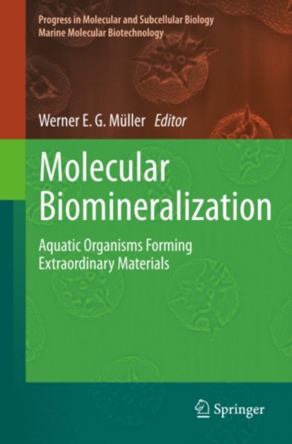 Molecular Biomineralization : Aquatic Organisms Forming Extraordinary Materials, PDF eBook
