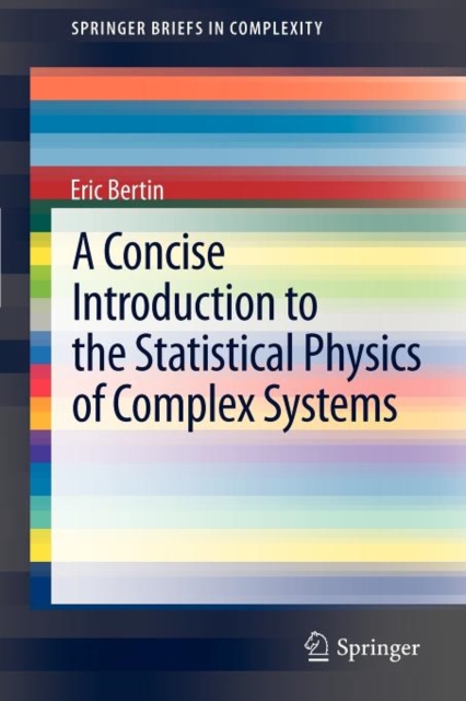 A Concise Introduction to the Statistical Physics of Complex Systems, Paperback / softback Book