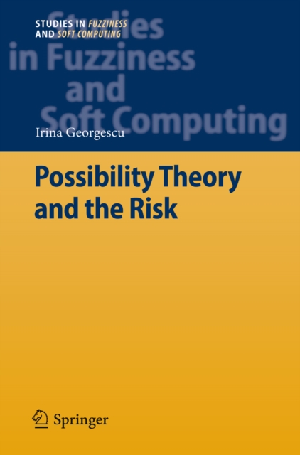 Possibility Theory and the Risk, PDF eBook