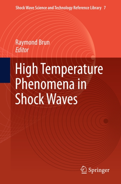 High Temperature Phenomena in Shock Waves, Hardback Book