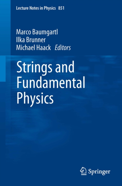 Strings and Fundamental Physics, PDF eBook