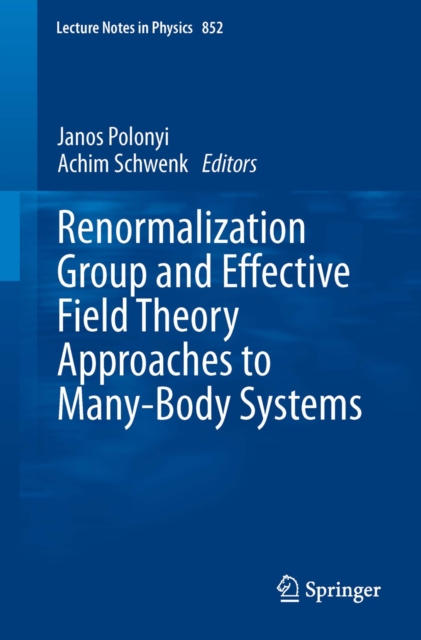 Renormalization Group and Effective Field Theory Approaches to Many-Body Systems, PDF eBook