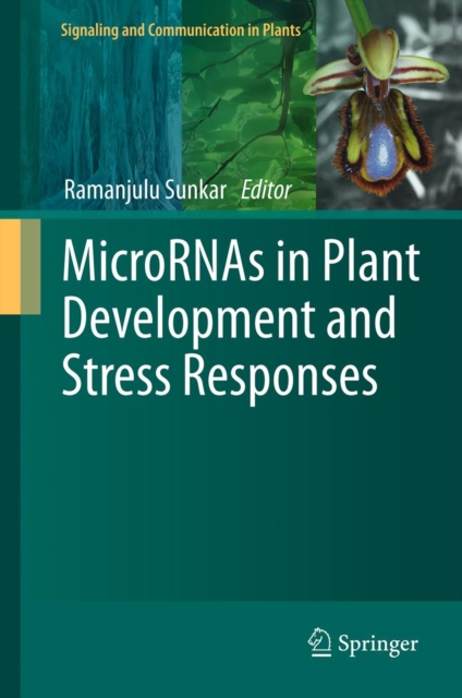 MicroRNAs in Plant Development and Stress Responses, PDF eBook