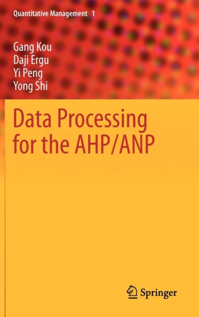 Data Processing for the AHP/ANP, Hardback Book