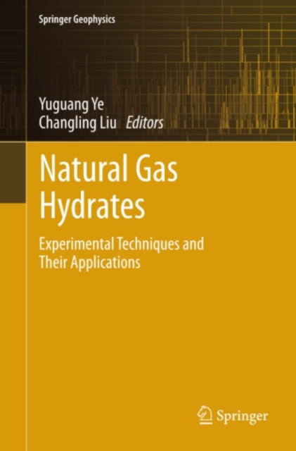 Natural Gas Hydrates : Experimental Techniques and Their Applications, PDF eBook