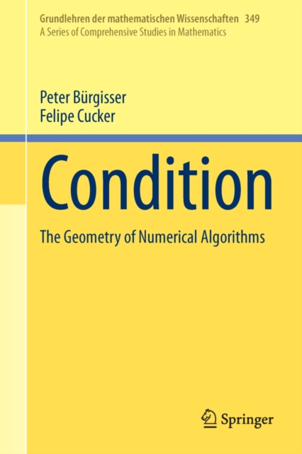 Condition : The Geometry of Numerical Algorithms, PDF eBook