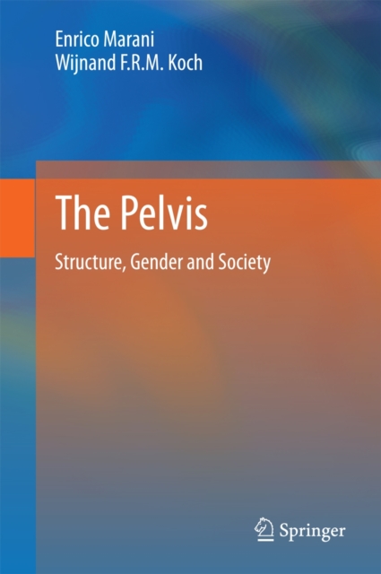 The Pelvis : Structure, Gender and Society, Hardback Book