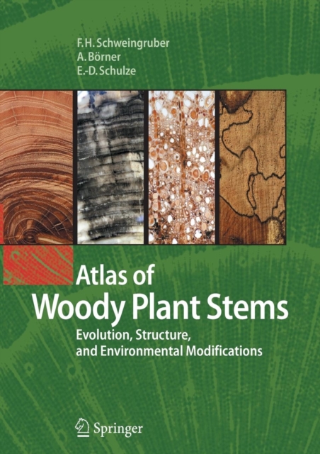 Atlas of Woody Plant Stems : Evolution, Structure, and Environmental Modifications, Paperback / softback Book