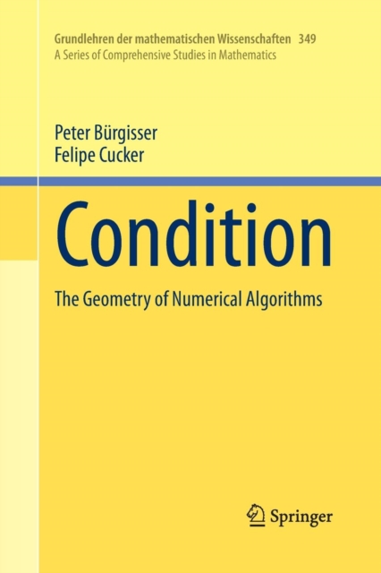 Condition : The Geometry of Numerical Algorithms, Paperback / softback Book