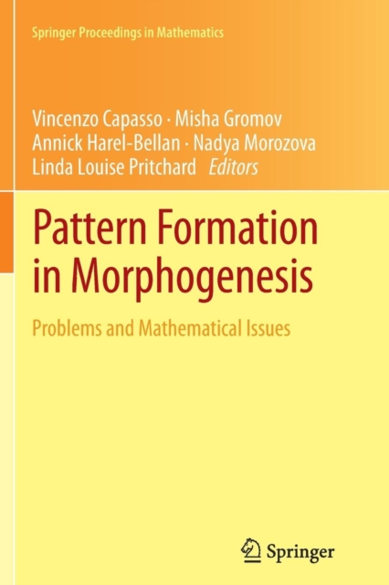 Pattern Formation in Morphogenesis : Problems and Mathematical Issues, Paperback / softback Book