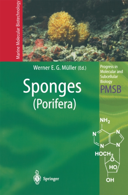 Sponges (Porifera), PDF eBook