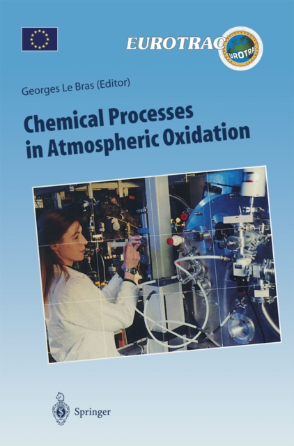 Chemical Processes in Atmospheric Oxidation : Laboratory Studies of Chemistry Related to Tropospheric Ozone, PDF eBook