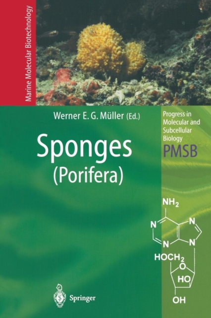 Sponges (Porifera), Paperback / softback Book