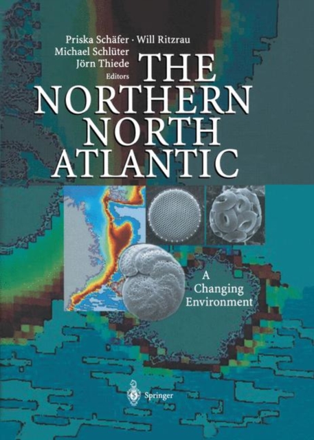 The Northern North Atlantic : A Changing Environment, Paperback / softback Book