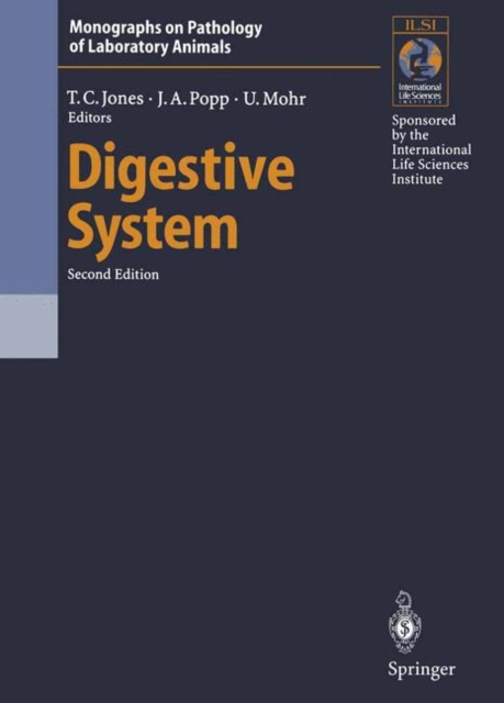 Digestive System, Paperback / softback Book