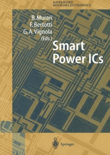 Smart Power ICs : Technologies and Applications, Paperback / softback Book