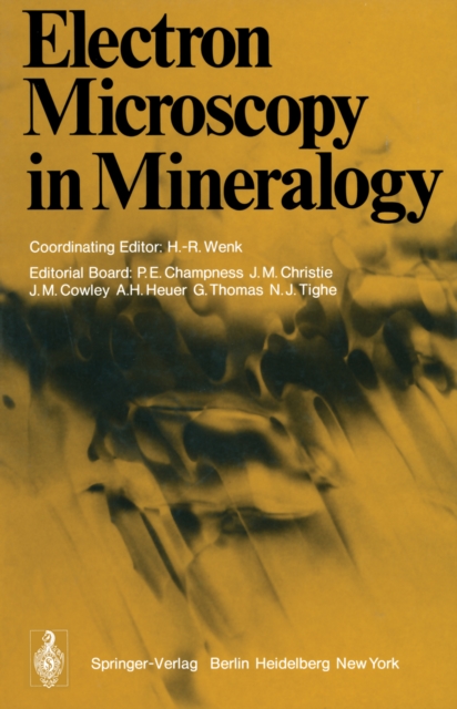 Electron Microscopy in Mineralogy, PDF eBook