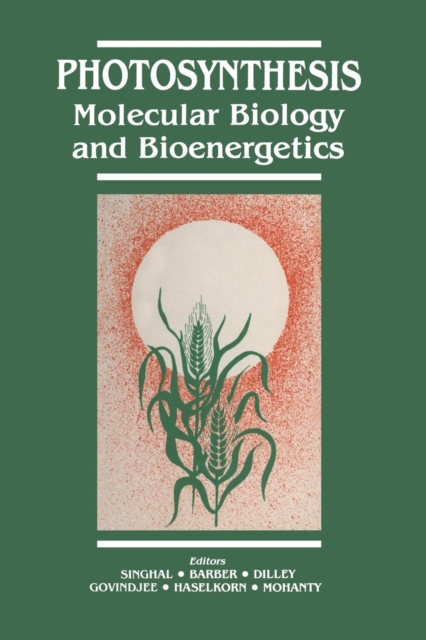 Photosynthesis : Molecular Biology and Bioenergetics, Paperback / softback Book