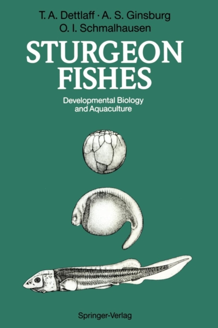 Sturgeon Fishes : Developmental Biology and Aquaculture, Paperback / softback Book