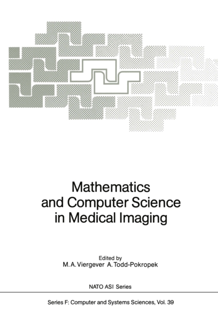 Mathematics and Computer Science in Medical Imaging, PDF eBook