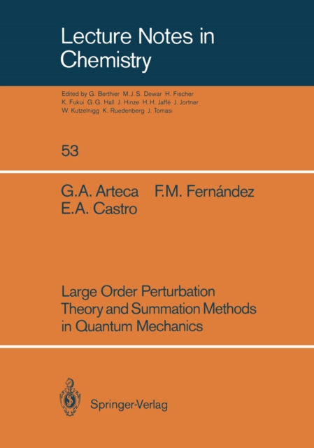 Large Order Perturbation Theory and Summation Methods in Quantum Mechanics, PDF eBook