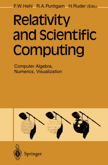 Relativity and Scientific Computing : Computer Algebra, Numerics, Visualization, PDF eBook