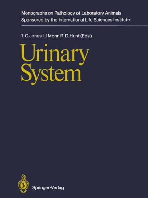 Urinary System, Paperback / softback Book