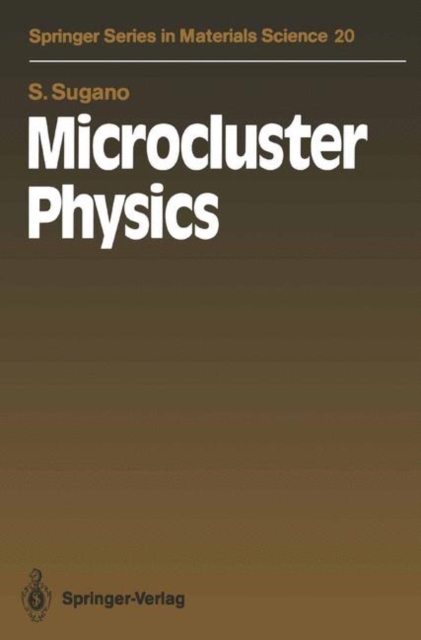 Microcluster Physics, Paperback / softback Book