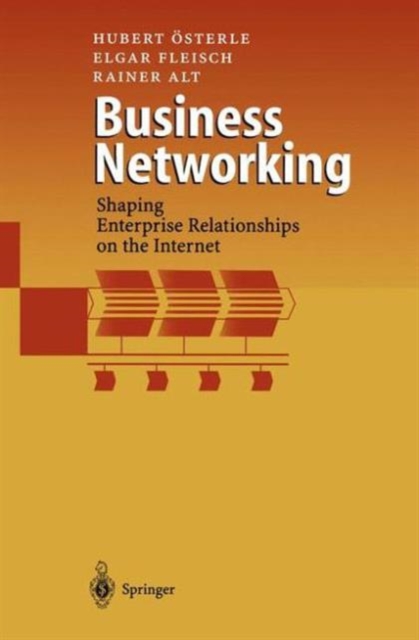 Business Networking : Shaping Enterprise Relationships on the Internet, Paperback / softback Book