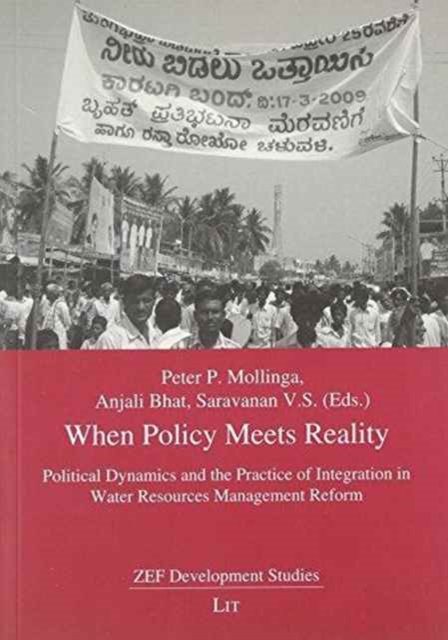 When Policy Meets Reality : Political Dynamics and the Practice of Integration in Water Resources Management Reform, Paperback / softback Book