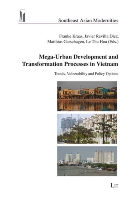 Mega-Urban Development and Transformation Processes in Vietnam : Trends, Vulnerability and Policy Options, Paperback / softback Book
