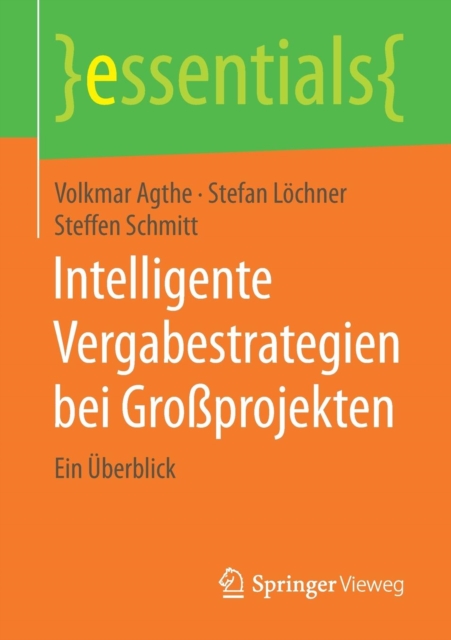 Intelligente Vergabestrategien bei Großprojekten : Ein Uberblick, Paperback / softback Book