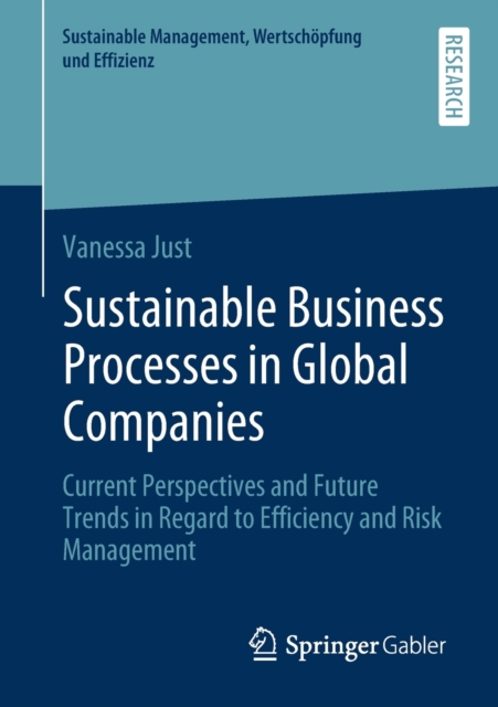 Sustainable Business Processes in Global Companies : Current Perspectives and Future Trends in Regard to Efficiency and Risk Management, Paperback / softback Book