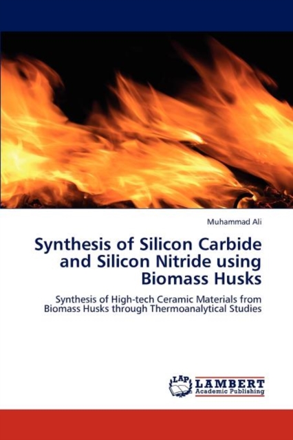 Synthesis of Silicon Carbide and Silicon Nitride using Biomass Husks, Paperback / softback Book