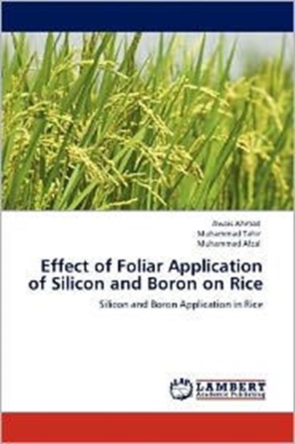 Effect of Foliar Application of Silicon and Boron on Rice, Paperback / softback Book