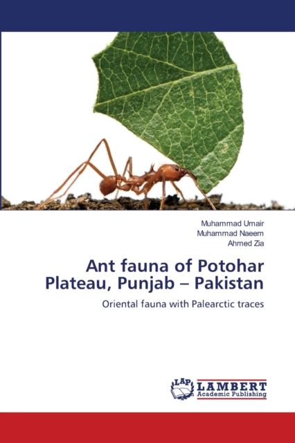 Ant Fauna of Potohar Plateau, Punjab - Pakistan, Paperback / softback Book