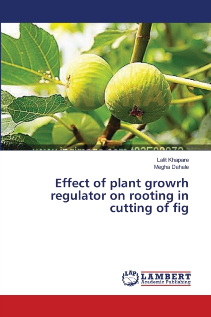 Effect of plant growrh regulator on rooting in cutting of fig, Paperback / softback Book