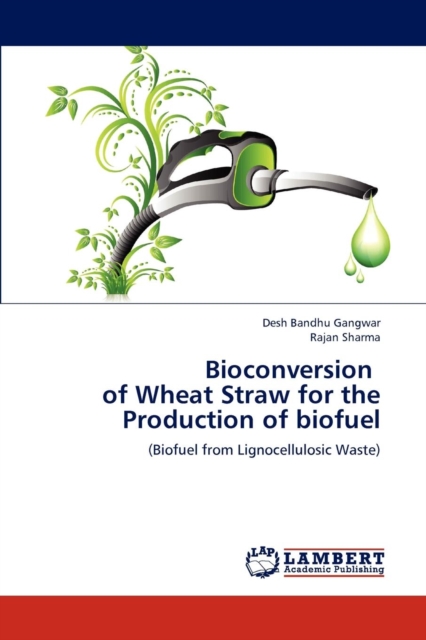 Bioconversion of Wheat Straw for the Production of Biofuel, Paperback / softback Book