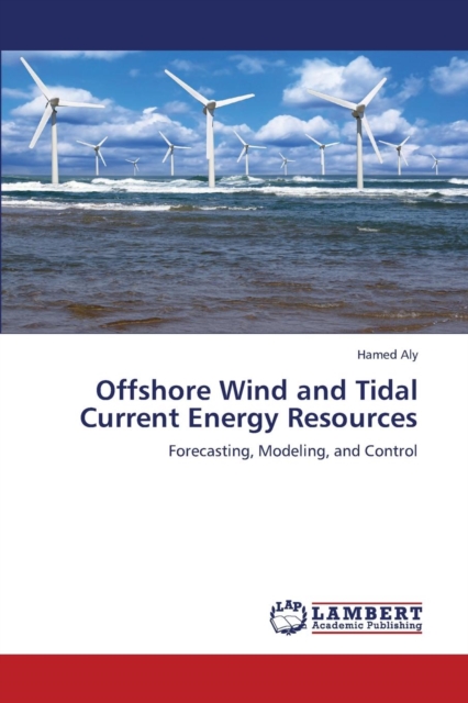 Offshore Wind and Tidal Current Energy Resources, Paperback / softback Book