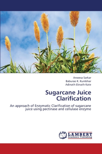 Sugarcane Juice Clarification, Paperback / softback Book
