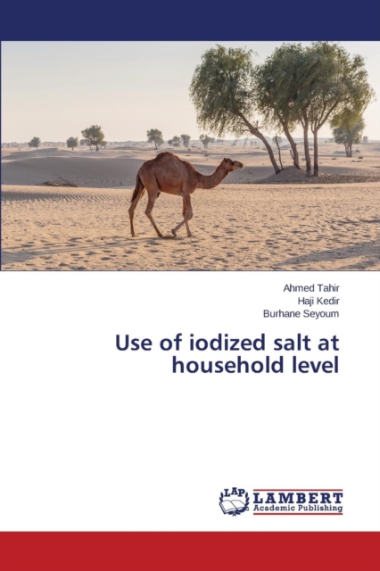 Use of Iodized Salt at Household Level, Paperback / softback Book